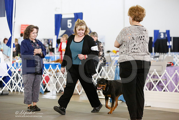 _JN_8428-DallasJul2014-HR3