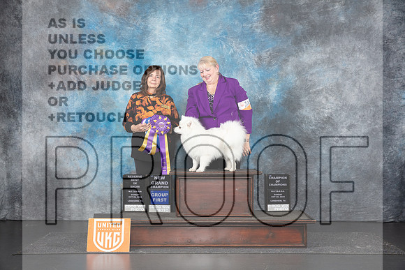 American Eskimo #200 Sun RBIS Judge Sandra Phillips__JP_1515_UKCLNGVIEWOCT2024_2024_HR3