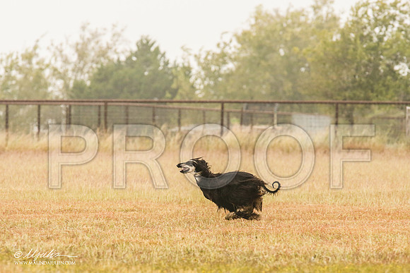 _MJ_2908-AfgBeltonOct2014-HR3