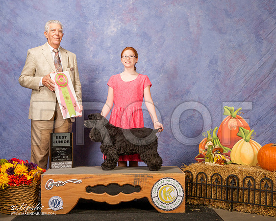 _CL_4487 - Version 2-SanAngelo2014-HR3