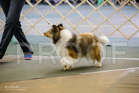 _JJ_6202-DenJun14-HR3