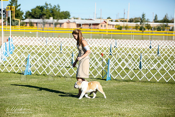 _JN_8314-AlamogordoOct2014-HR3