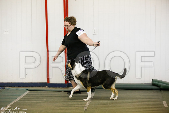 _MJ_5562-DentonMar2015-HR3