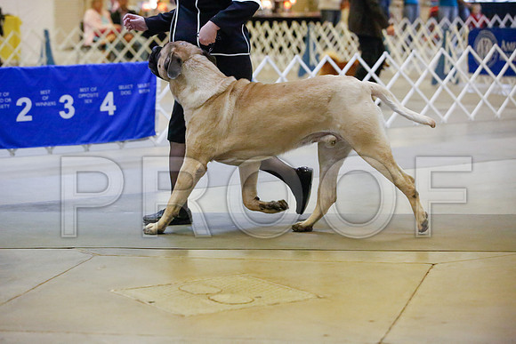 _JJ_8137-AmarilloSept2014-HR3