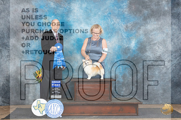 Chihuahua Long Coat #7 Fri G1 Judge Larry Abbott__JP_9437_Abilene_2024_HR3