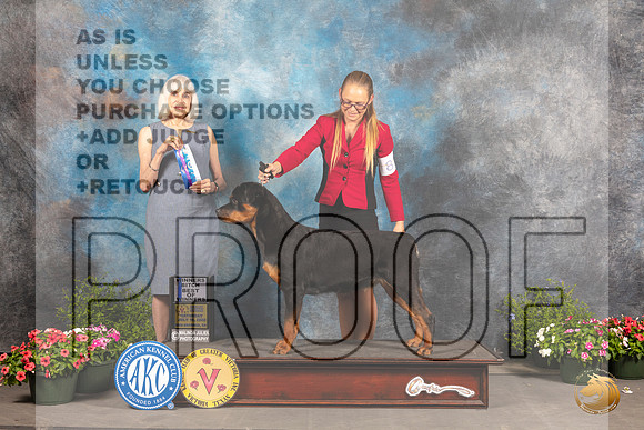 Rottweiler #8 Sat BOW Judge Jan Paulk_MJ_0264_SA_2022_HR3