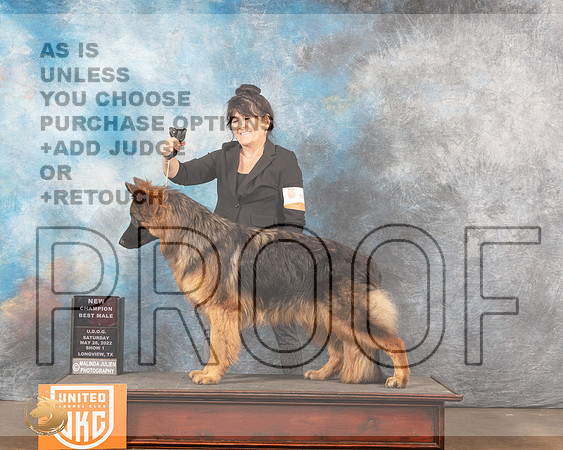 German Shepherd Dog #188 Sat1 Judge Michelle BlackowlMMJ_5889_Lngvw2022HR3