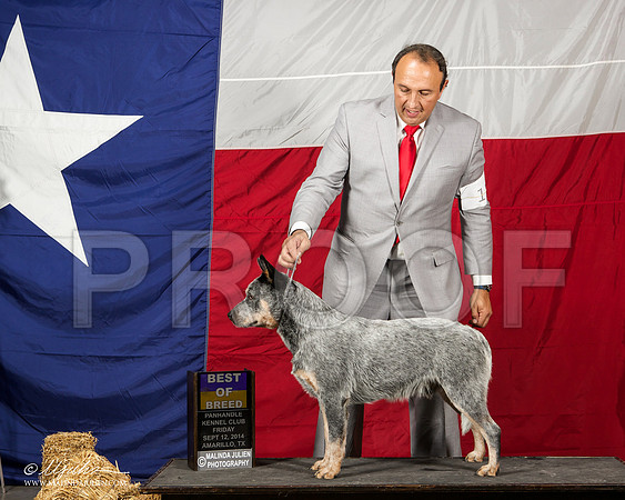 _ST_1604-AmarilloSep2014-HR3