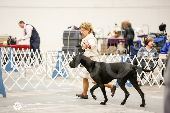 _RH_4803-AblnMay2014-web