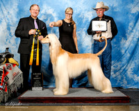 #37 Wed AOM Jason & Jennifer Taylor Judge David Frei +?