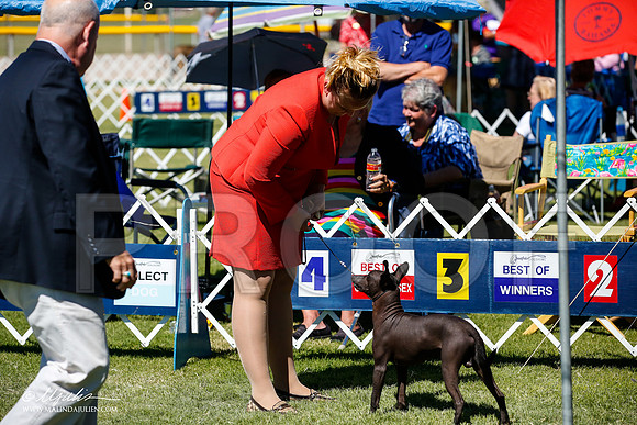 _JJ_8216-AlamogordoOct2014-HR3
