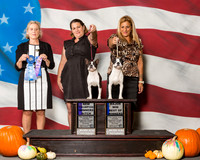 Boston Terriers #17 #40 Sun Guidry Linda Judge Mrs Debra Long Gschwender CUSTOM