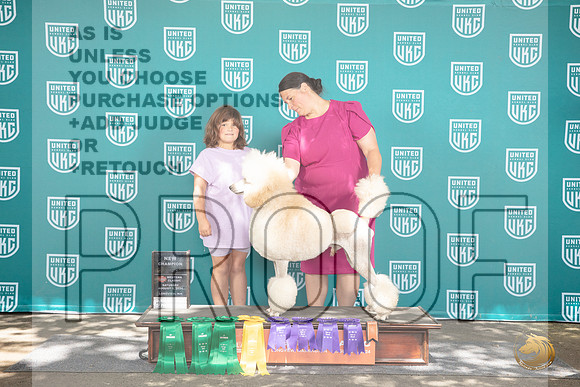 Poodle Standard #444 NGCh No Judge__JP_1829_Longview WA_2024_HR3