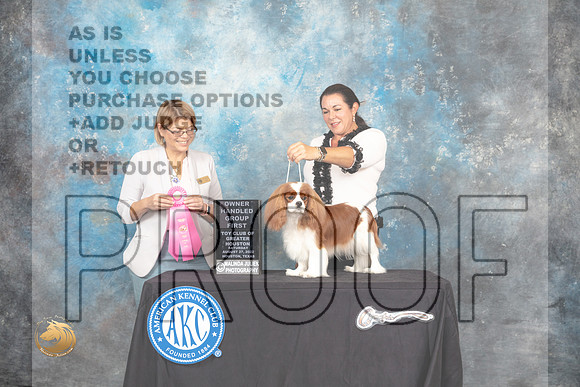 Cavalier King Charles Spaniel #8 Sat Judge Carolyn Horowitz_MJ_0288_HstnTOY_2022_HR3