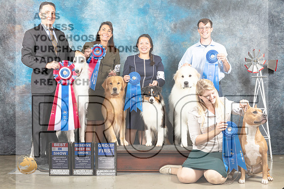 Brian Livingston Crew Best in Show+ Thur_MJ_3775_Amarillo_2022_HR3