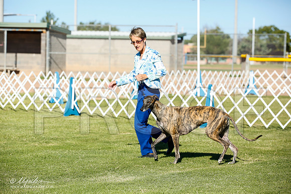 _JN_5683-AlamogordoOct2014-HR3