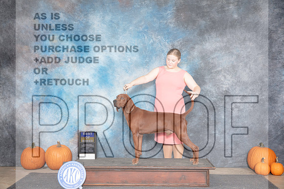 Red Bone Coonhound #5 Fri BOB Judge Ann Meyer__JP_8527_Humble_2024_HR3