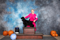 English Cocker Spaniel #15 Sat BOW Judge Ann Roth