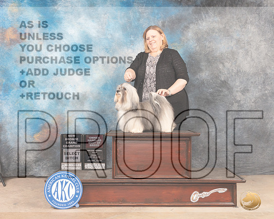 Havanese #22 SBOHBOBGChBz Judge Mary Jane Carberry r-MMJ_4358-Abilene2022-HR3