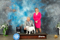 Bulldog #26 Sat BOBWBM Judge Eugene Blake