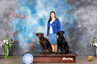Labrador Retrievers Sat Cathy