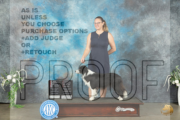 Border Collie #18 Sat BOSOHBOBGCH Judge Ken Buxton_JP_1180_Lubbock2023_HR3