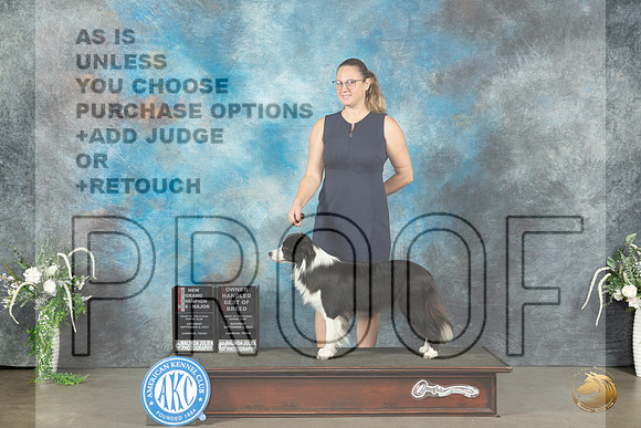 Border Collie #18 Sat BOSOHBOBGCH Judge Ken Buxton_JP_1181_Lubbock2023_HR3