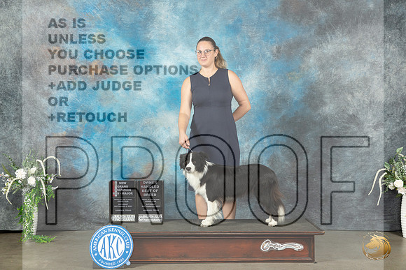 Border Collie #18 Sat BOSOHBOBGCH Judge Ken Buxton_JP_1182_Lubbock2023_HR3