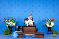Papillon #15 THUR WD BOW BOB OHBOB M Judge Sandra Lex