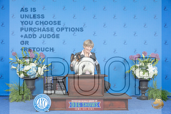 Papillon #15 THUR WD BOW BOB OHBOB M Judge Sandra Lex__JP_8123_Houston_2024_HR3