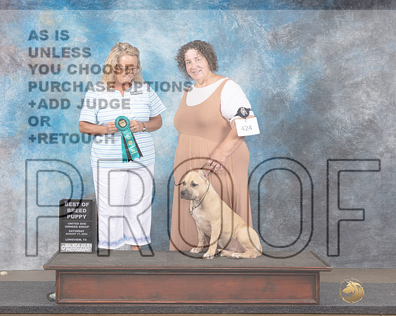 American Bully #424 Sat PupBOB Judge Chandra Martin-_JP_2759e_Longview TX 2024-HR3