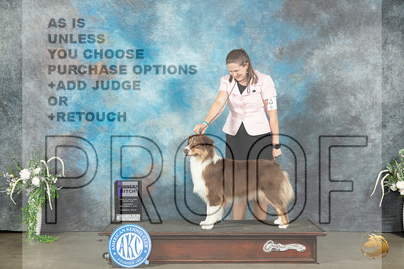 Australian Shepherd #12 Sat WB Judge Ken Buxton_JP_1259_Lubbock2023_HR3