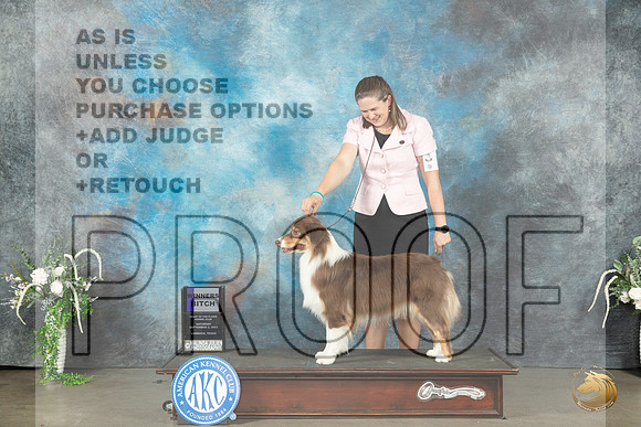 Australian Shepherd #12 Sat WB Judge Ken Buxton_JP_1262_Lubbock2023_HR3