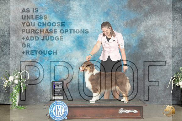 Australian Shepherd #12 Sat WB Judge Ken Buxton_JP_1263_Lubbock2023_HR3