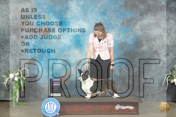 Cardigan Welsh Corgi #12 Sat WB Judge Ken Buxton_JP_1192_Lubbock2023_HR3