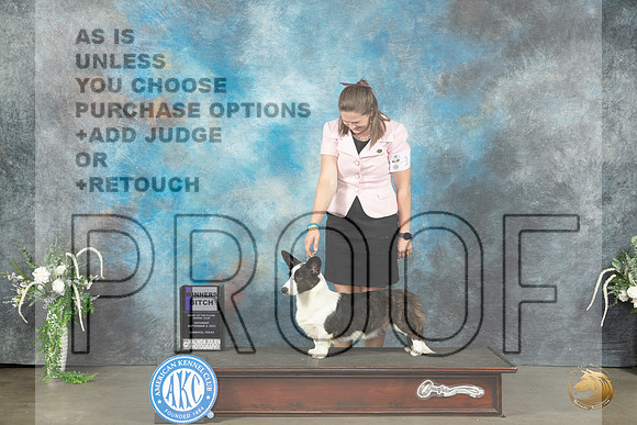 Cardigan Welsh Corgi #12 Sat WB Judge Ken Buxton_JP_1196_Lubbock2023_HR3