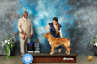 Nova Scotia Duck Tolling Retriever #8 Sat BOBBBECH Judge Eugene Blake
