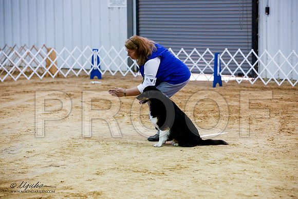 _JJ_7670-ASCACollegeStationNov2014-HR3