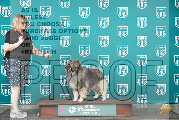 Keeshond Miles__JP_2834_Premier_2024_HR3