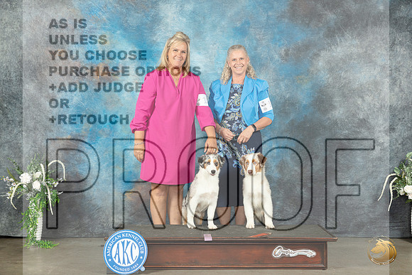 Australian Shepherds # 14 & !5 Sat_JP_1457_Lubbock2023_HR3