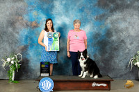 Border Collie #31 Sat HIT HC Judge Cathy Caballero