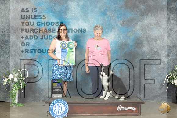 Border Collie #31 Sat HIT HC Judge Cathy Caballero_JP_1341_Lubbock2023_HR3