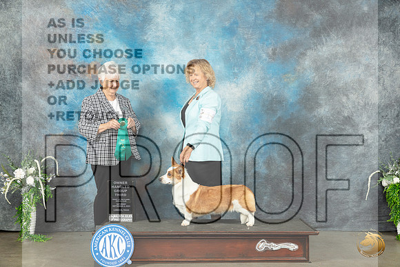 Cardigan Welsh Corgi #10 Sat OHG3 Judge Gloria Kerr_JP_1564_Lubbock2023_HR3