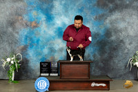 Chihuahua Smooth #12 Sat BOWBOVM Judge Carolyn Herbel