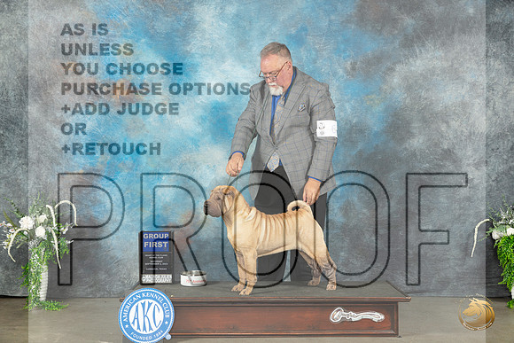 Chinese Shar Pei #6 Sat G1 Judge Carolyn Herbel_JP_1661_Lubbock2023_HR3