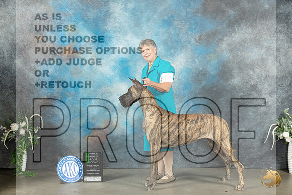 Great Dane #14 Sat OHG2 Judge Ken Buxton_JP_1483_Lubbock2023_HR3