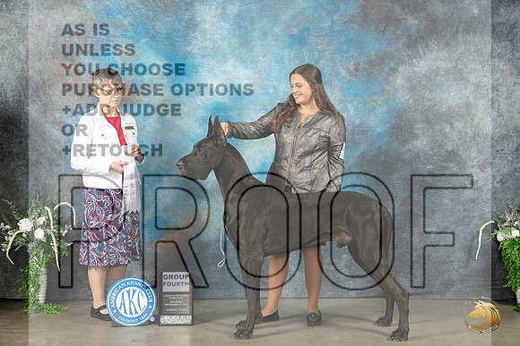 Great Dane #5 Sat G4 Judge Donna Buxton_JP_1538_Lubbock2023_HR3
