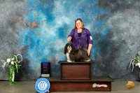 Havanese #12 Sat BOBOHBOB Judge Carolyn Herbel