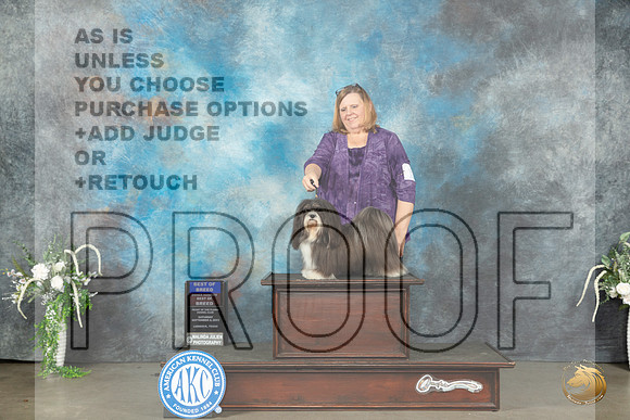 Havanese #12 Sat BOBOHBOB Judge Carolyn Herbel_JP_1361_Lubbock2023_HR3