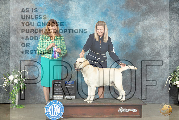 Labrador Retriever #5 Sat BOW Judge Anne Barlow_JP_1432_Lubbock2023_HR3